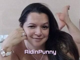AidinPunny