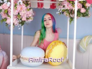 AmiraRoof