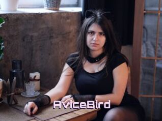 AviceBird