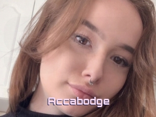 Accabodge