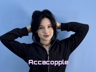 Accacopple