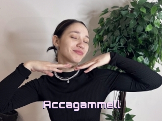 Accagammell