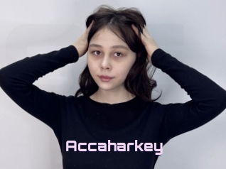 Accaharkey