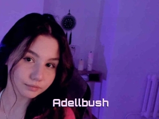 Adellbush