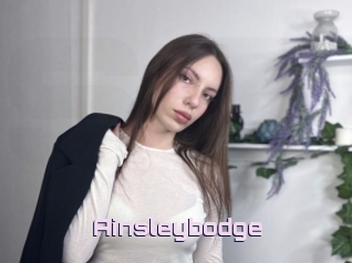 Ainsleybodge