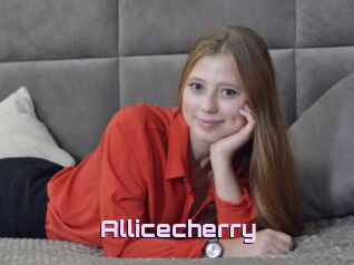 Allicecherry