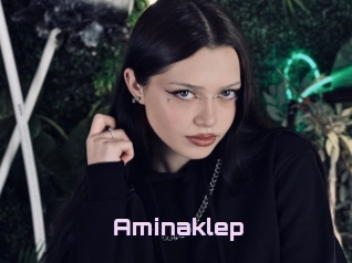 Aminaklep