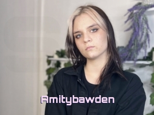 Amitybawden