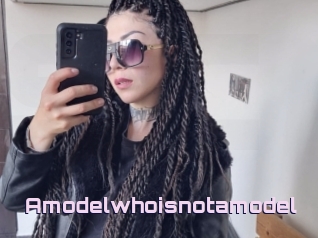 Amodelwhoisnotamodel
