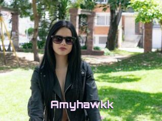 Amyhawkk