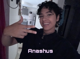 Anashus
