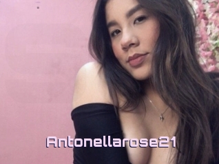 Antonellarose21