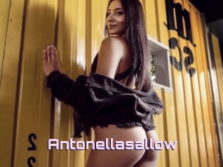 Antonellasallow