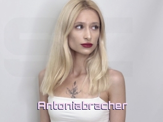 Antoniabracher