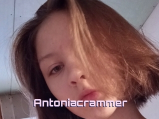 Antoniacrammer