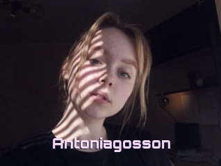 Antoniagosson