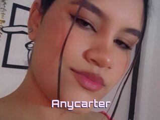 Anycarter