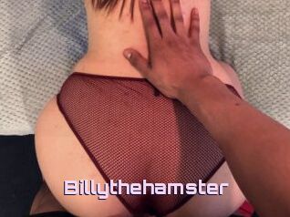 Billythehamster