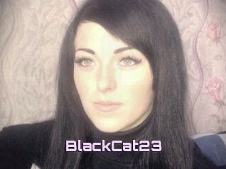 BlackCat23
