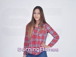 BurningFlamee