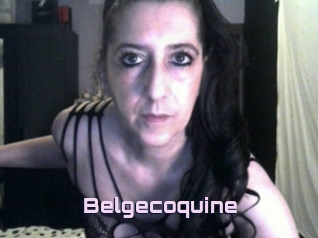 Belgecoquine