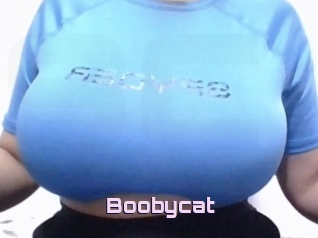 Boobycat