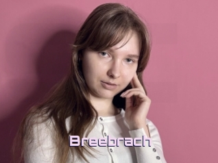 Breebrach