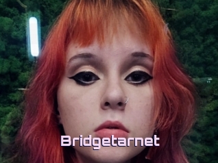 Bridgetarnet