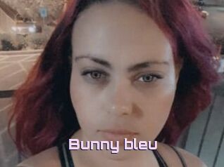 Bunny_bleu