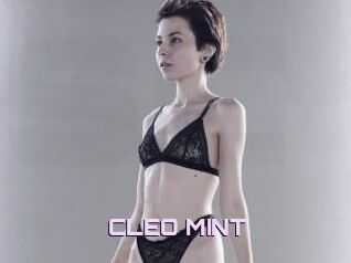 CLEO_MINT