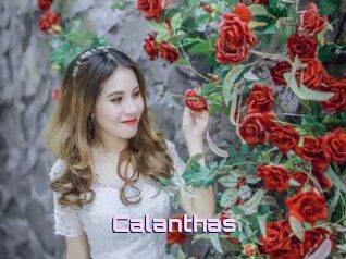 Calanthas