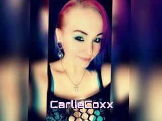 CarlieCoxx