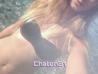 Chaton21