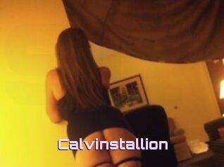 Calvinstallion