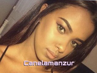 Canelamanzur
