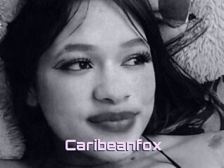 Caribeanfox