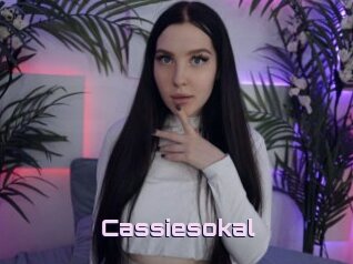 Cassiesokal