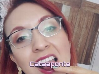 Cataaponte