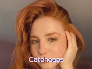 Cateheaps