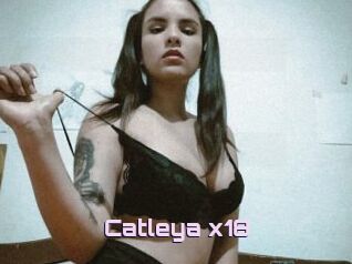 Catleya_x18