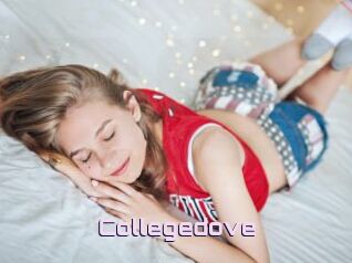 Collegedove