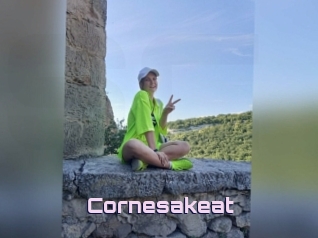 Cornesakeat