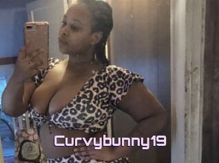 Curvybunny19