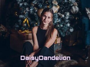 DaisyDandelion