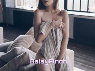 DaisyFinch