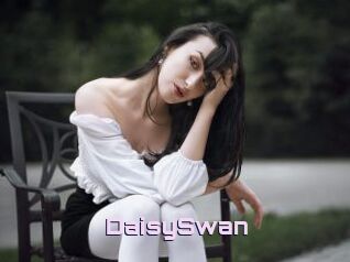 DaisySwan
