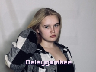 Daisygambee