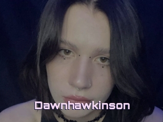Dawnhawkinson