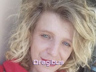 Dragibus