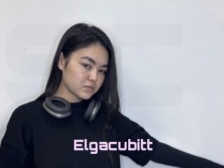 Elgacubitt
